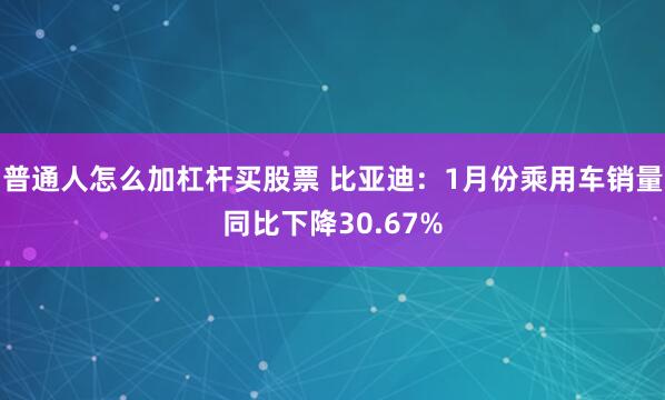 普通人怎么加杠杆买股票 比亚迪：1月份乘用车销量同比下降30.67%
