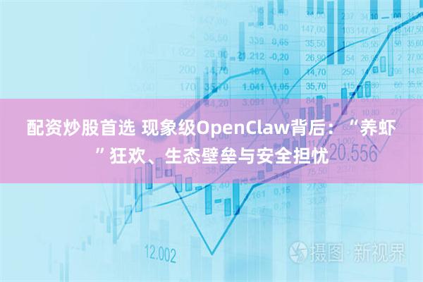 配资炒股首选 现象级OpenClaw背后：“养虾”狂欢、生态壁垒与安全担忧